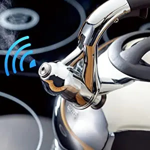 Easyworkz Whistling Stovetop Tea Kettle Food Grade Stainless Steel Hot Water Tea Pot With Loud Whistle,2.65 Quart(2.5l)