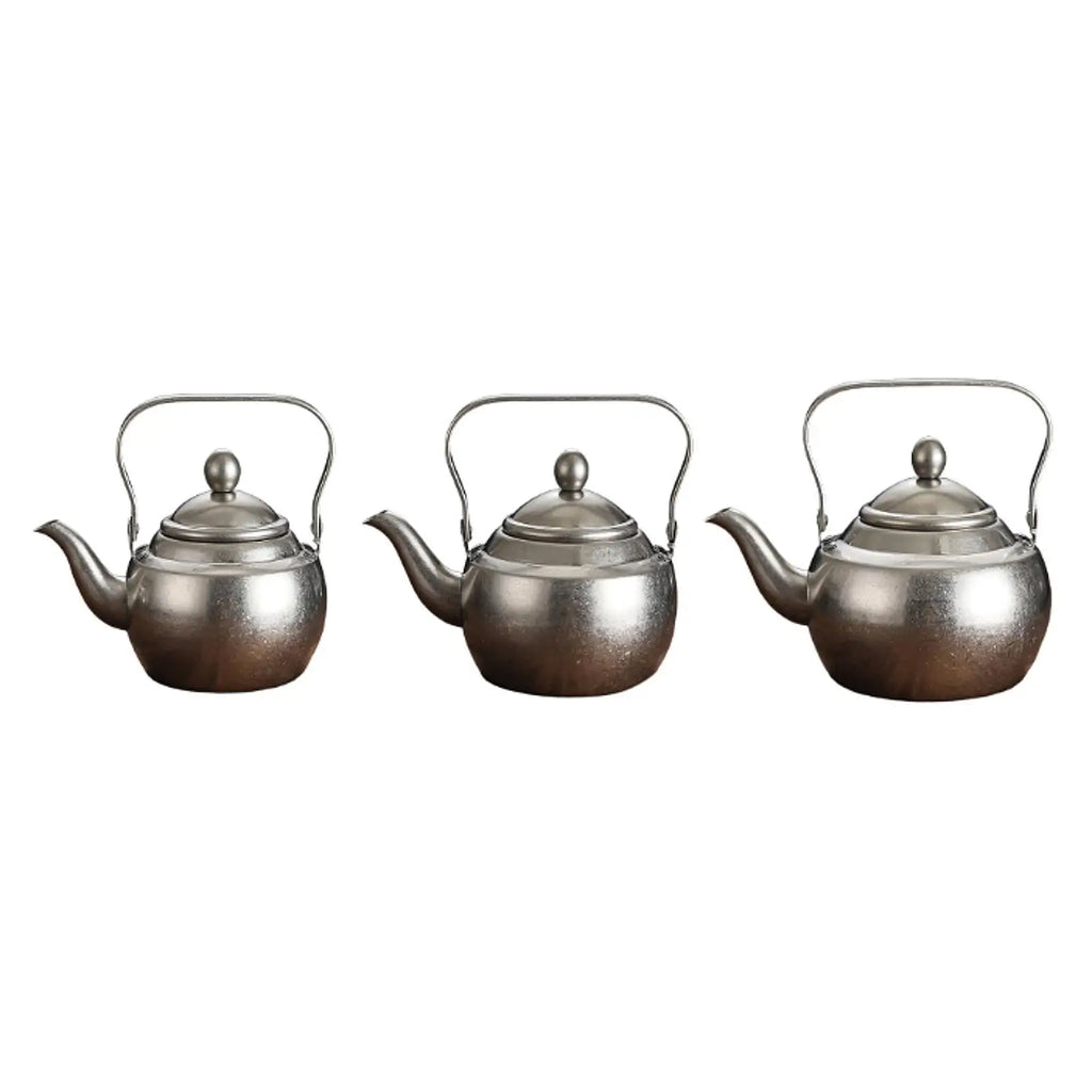 Thick stainless steel teapot with handle, portable, with removable infuser,